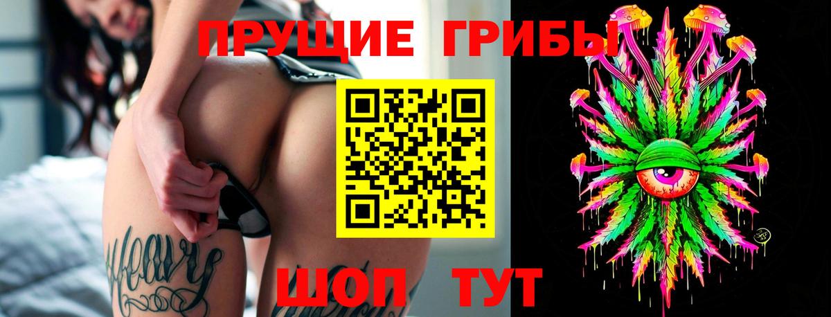 Псилоцибиновые грибы Psilocybe Моздок