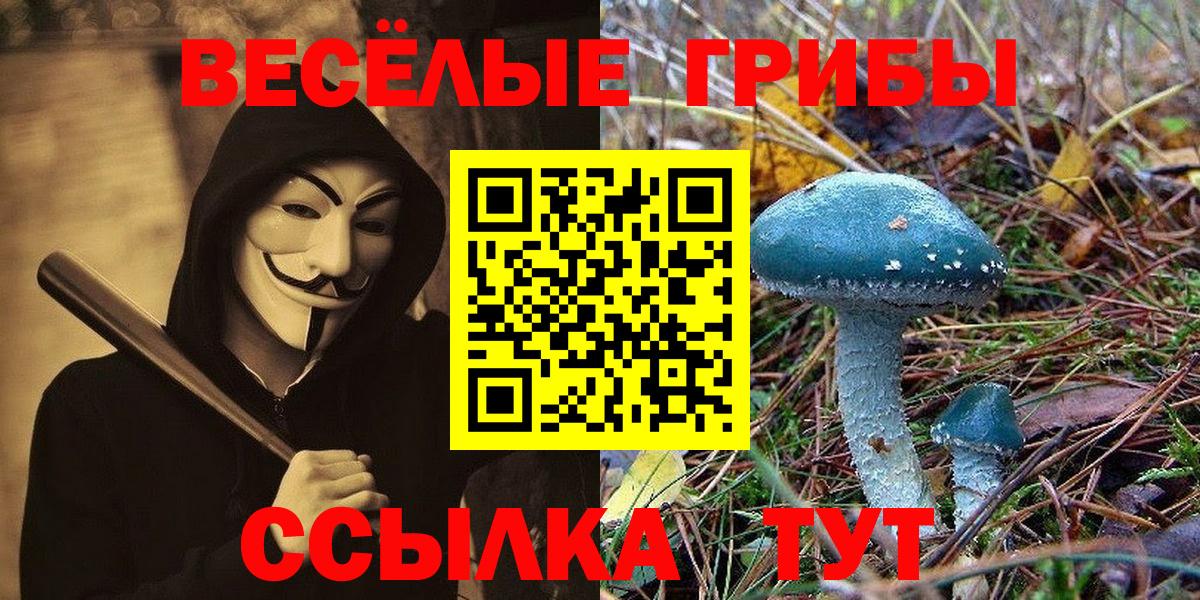 Моздок  Галлюциногенные грибы GOLDEN TEACHER  Вход с VPN 